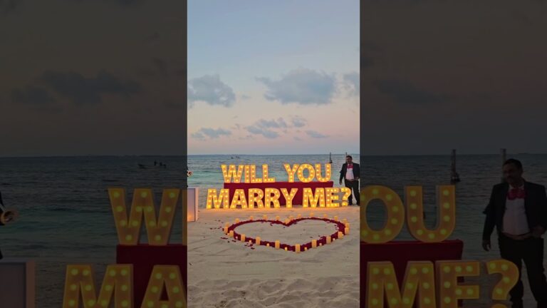 Read more about the article This couple added mariachi and fireworks to their proposal making it a big celebration for everyone!