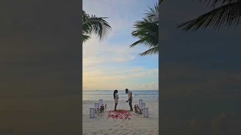 Read more about the article A sunset, a rose path, and a forever❣️ #proposalplanner #cancunproposal #proposal #love #engaged