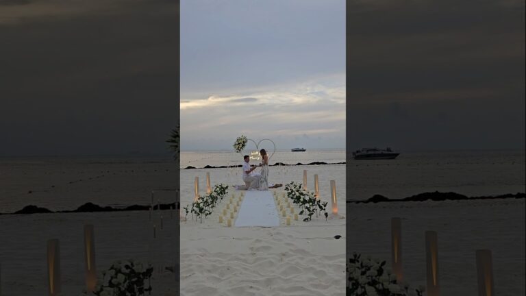 Read more about the article After a day of swimming with whale sharks, he got down on one knee and proposed #cancunproposal