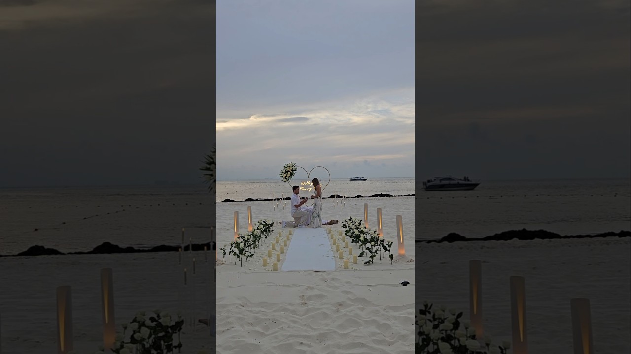 Read more about the article After a day of swimming with whale sharks, he got down on one knee and proposed #cancunproposal